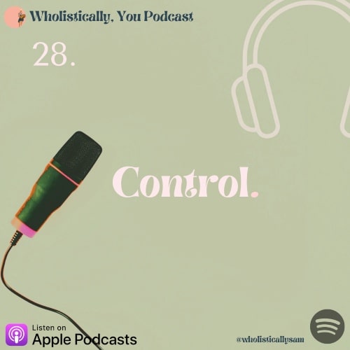 28. Control - Wholistically Sam